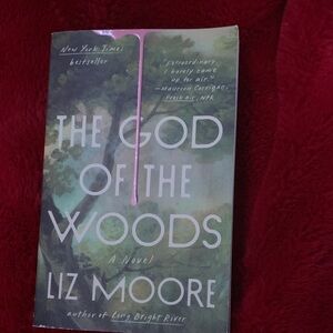 The God of the Woods by Liz Moore - Green Cover Novel